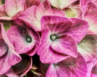 Hydrangea Hues: Capturing Pink Petals In Encaustic