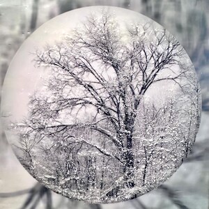 Veil Of Frost