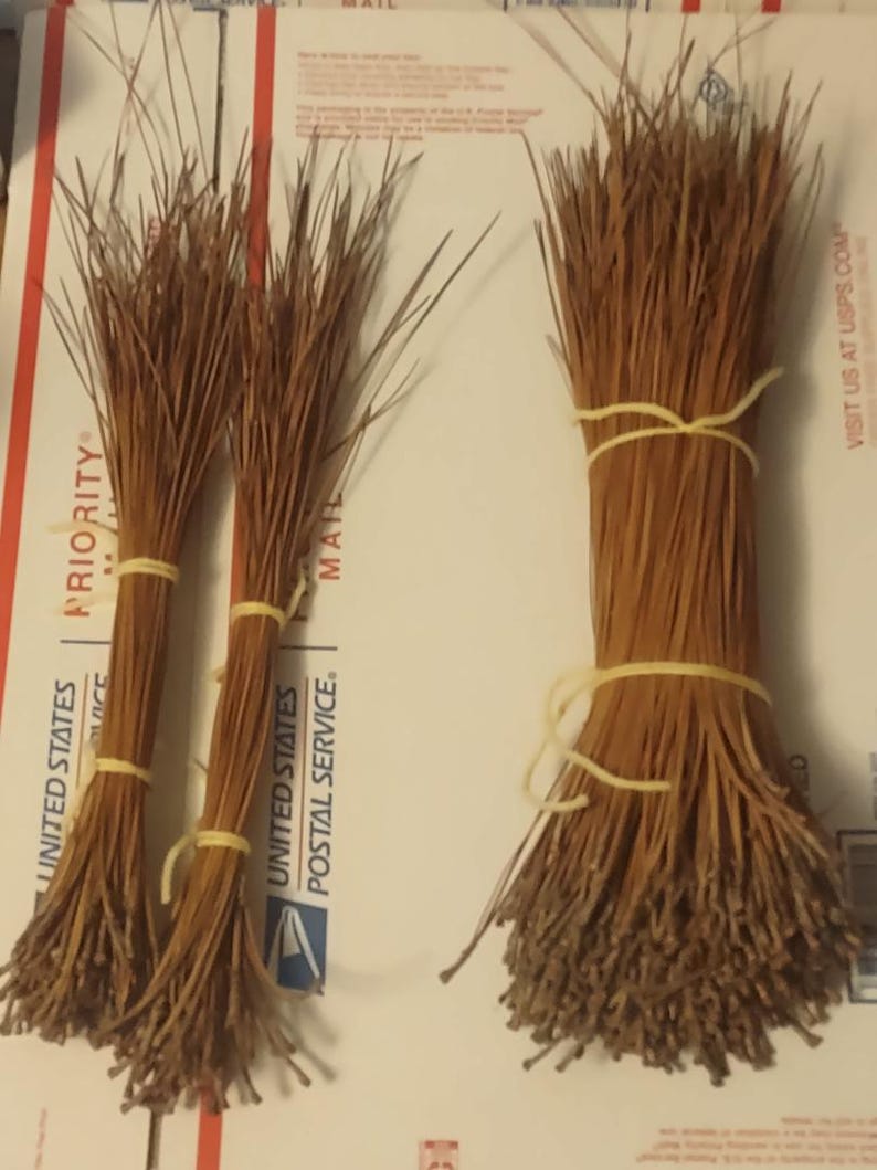 May include: Bundles of dried pine needles, tied with yellow rubber bands. The needles are a light brown color, with darker tips. Three smaller bundles are next to a larger bundle. The bundles are arranged on a white surface with red and blue text.