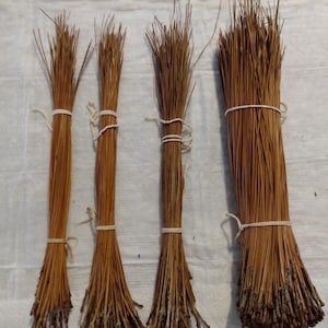 Longleaf pine needles 10.5 to 19 inches long. 11 Ounces. Has 480 or more Pine Needles, for Basket weaving, coiling.