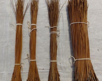 Longleaf pine needles 10.5 to 19 inches long. 11 Ounces. Has 480 or more Pine Needles, for Basket weaving, coiling.