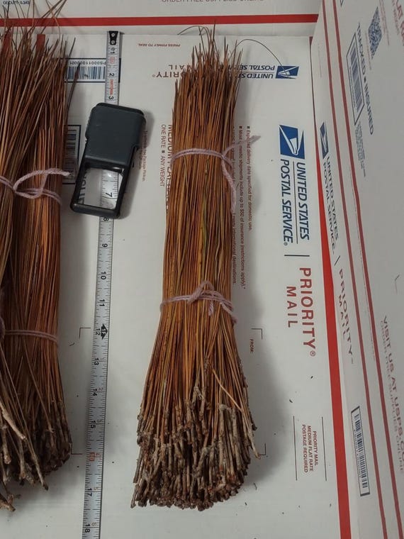 Longleaf Pine Needles (11-19 Inches): Basket Weaving, Coiling - 8 Ounces Plus Extra Free Ounces has around 620 or more Pine Needles