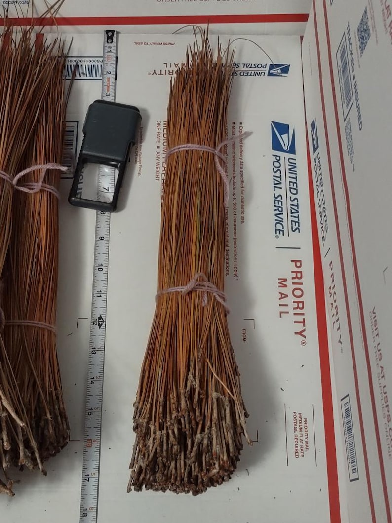 May include: Bundles of dried pine needles tied with pink string. A ruler shows measurements in inches. A magnifying glass is next to the bundles. The needles are a light brown color.
