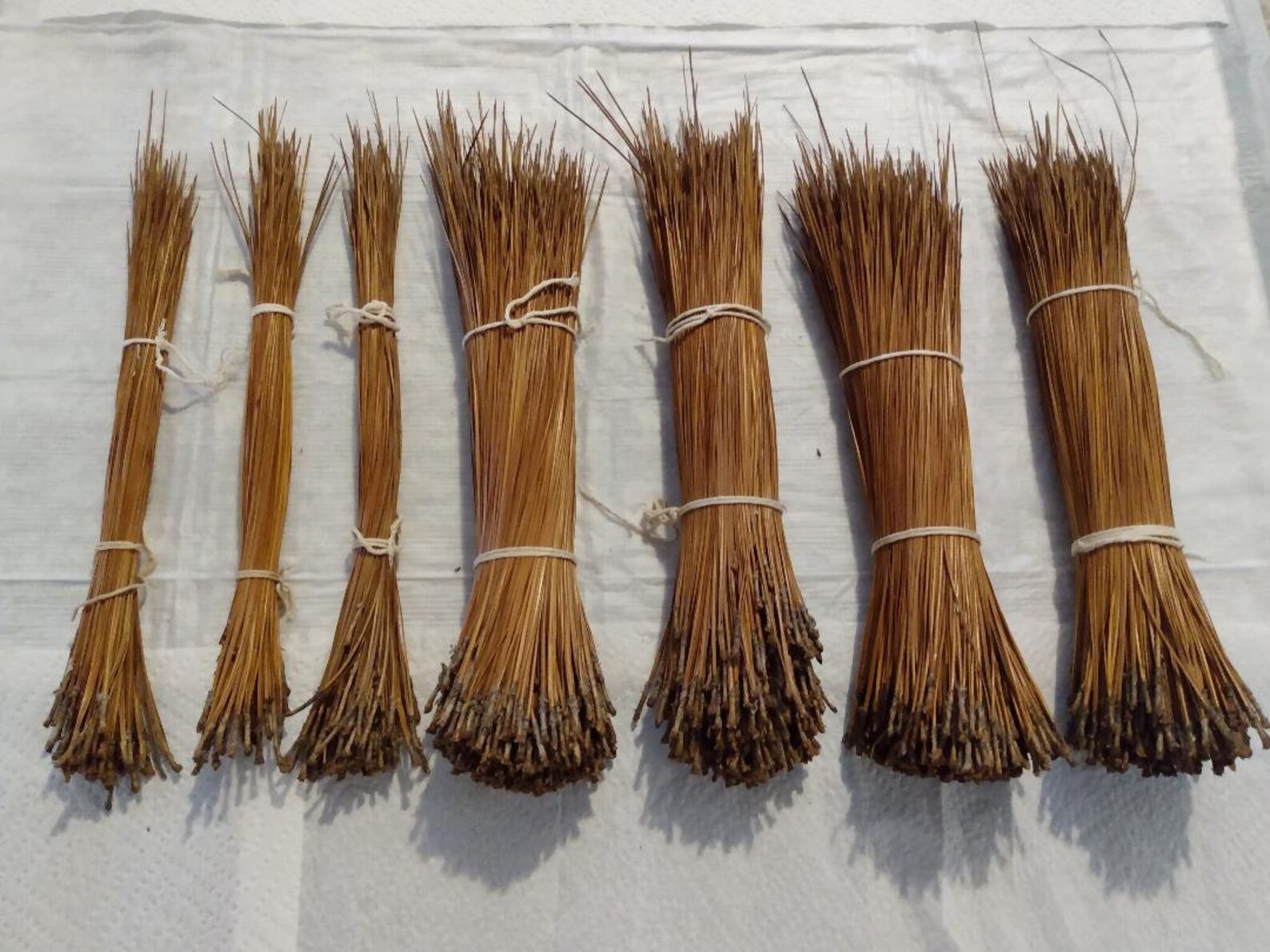 Long Leaf Pine Needles 10.5 to 18 Inches. Two Pounds With 3 Etsy