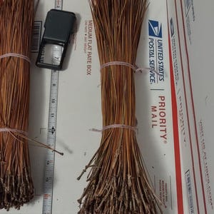 May include: Two bundles of brown pine needles tied together with string. The bundles are sitting on a white surface with a ruler and a magnifying glass.