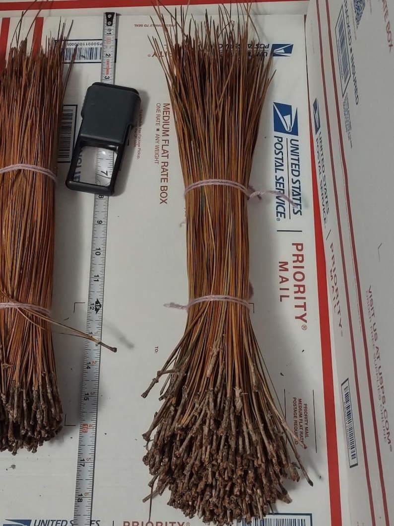 May include: Two bundles of brown pine needles tied together with string. The bundles are sitting on a white surface with a ruler and a magnifying glass.
