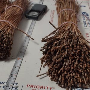 May include: Bundles of dried pine needles, tied with pink twine, are displayed on a white surface. A ruler and a magnifying glass are also present. The bundles appear to be approximately 18 inches long. The background includes USPS Priority Mail packaging.