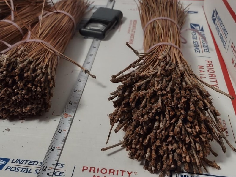 May include: Bundles of dried pine needles, tied with pink twine, are displayed on a white surface. A ruler and a magnifying glass are also present. The bundles appear to be approximately 18 inches long. The background includes USPS Priority Mail packaging.
