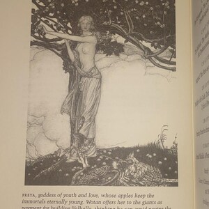 K&ouml;nnte beinhalten: Eine schwarz-wei&szlig;e Buchillustration, die eine Gestalt unter einem fruchttragenden Baum zeigt, begleitet von einer Katze und einem Vogel. Unter dem Bild steht der Text: FREYA, goddess of youth and love, whose apples keep the immortals eternally young.