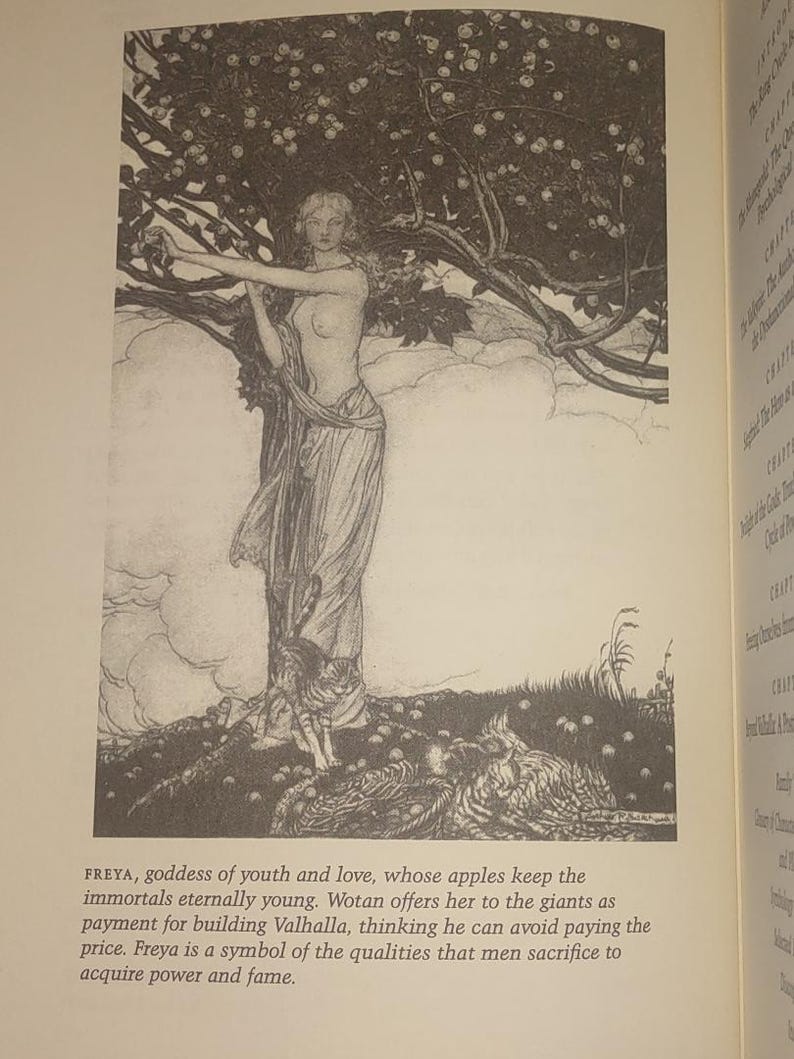 K&ouml;nnte beinhalten: Eine schwarz-wei&szlig;e Buchillustration, die eine Gestalt unter einem fruchttragenden Baum zeigt, begleitet von einer Katze und einem Vogel. Unter dem Bild steht der Text: FREYA, goddess of youth and love, whose apples keep the immortals eternally young.