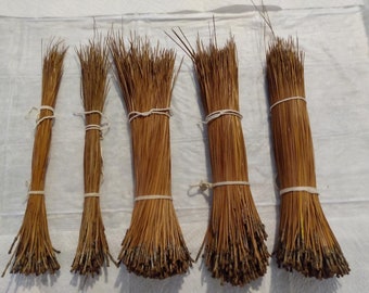 Long leaf Pine needles 10.5 to 19  inches long.  1.5 pounds Plus 2 Oz. Free. Total 26 Oz. Has 1,040 or more Pine Needles for Basket weaving