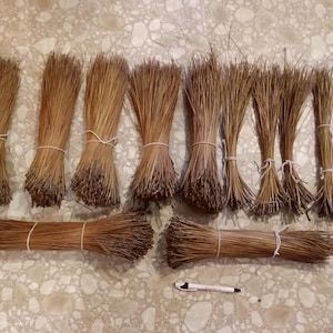 Longleaf pine needles 10.5 to 19 inches. 3.5 Pounds with 4 free Ounces. Total 60 Oz., Has 2,500 or more Pine Needles, for basket weaving.