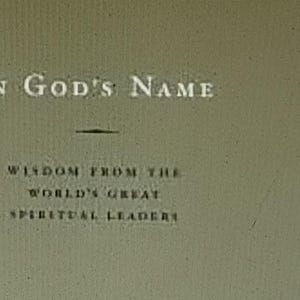 NEW - In God&#39;s Name: Wisdom from the World&#39;s Great Spiritual Leaders Hardcover – March 25, 2008 ISBN 9781426203718 In Gods Name , Religion