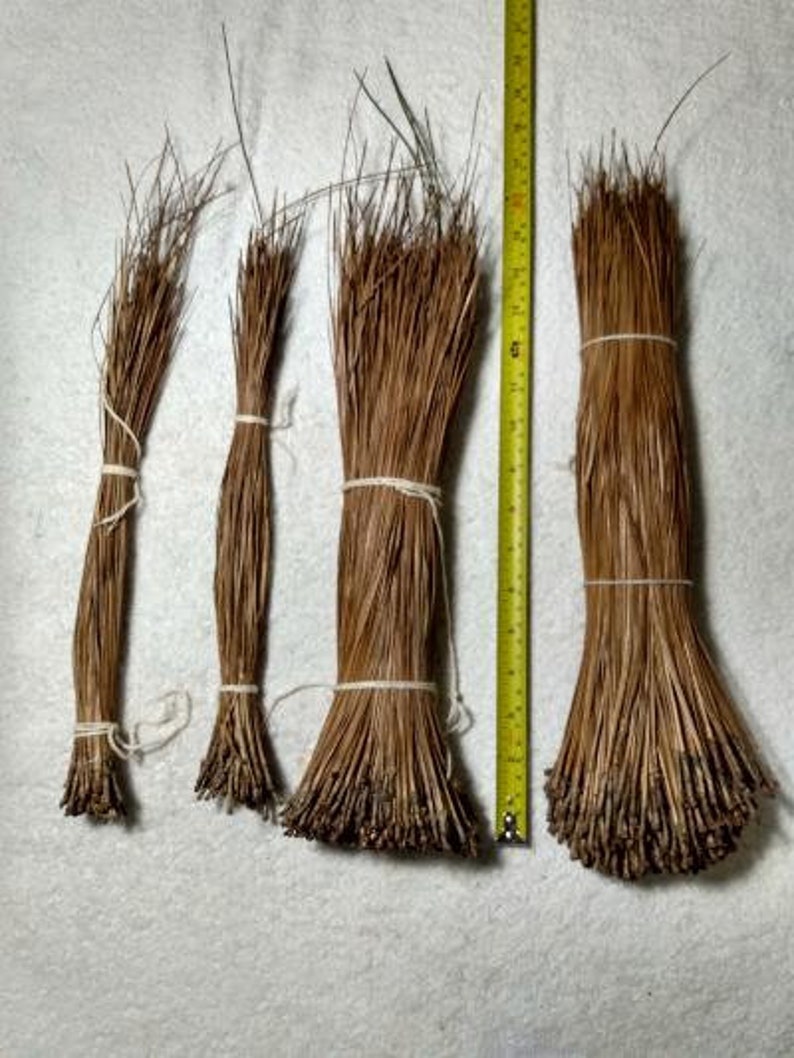 Op de afbeelding: Vier bundels gedroogde dennennaalden, vastgebonden met wit touw, zijn verticaal gerangschikt. Een gele meetlint is naast de bundels geplaatst. De bundels vari&euml;ren in grootte, de grootste meet ongeveer 25 cm lang.
