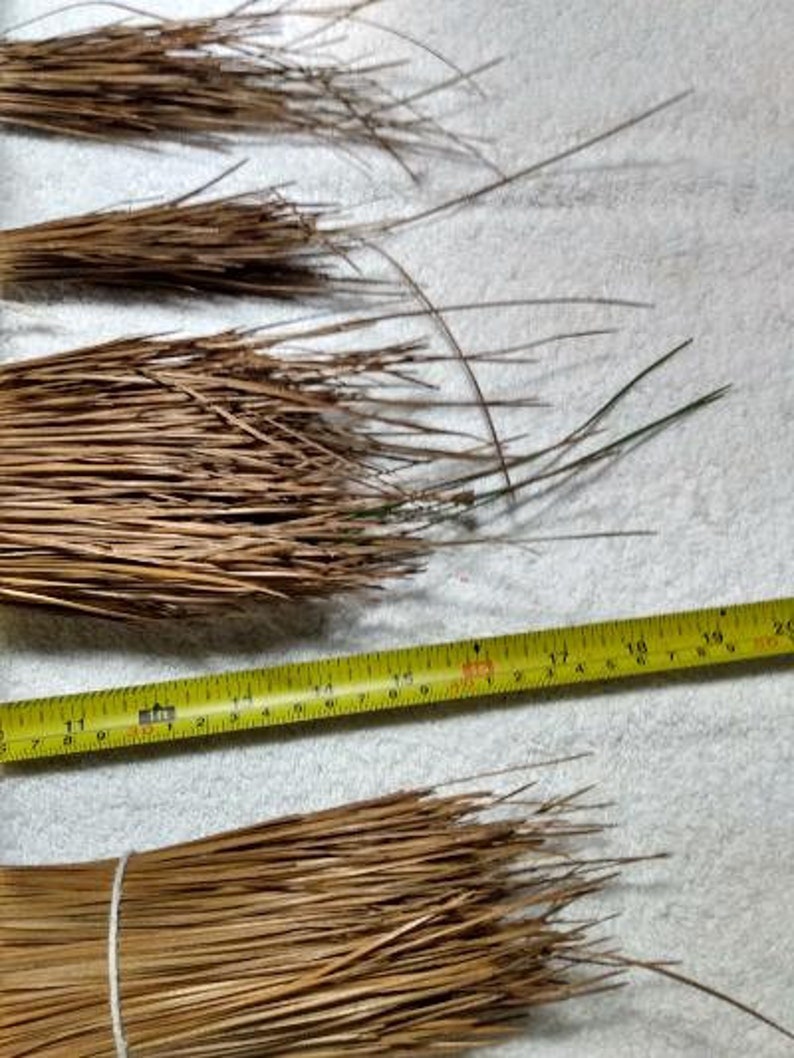 Op de afbeelding: Bundels gedroogde, bruine dennennaalden, mogelijk voor knutselen of decoratie. Een gele rolmaat, gemarkeerd in inches, ligt naast de naalden. De naalden zijn samengebonden met wit touw.