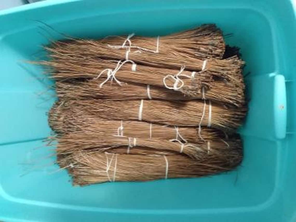 Long Leaf Pine Needles 11 to 18 Inches Long One Pound Etsy