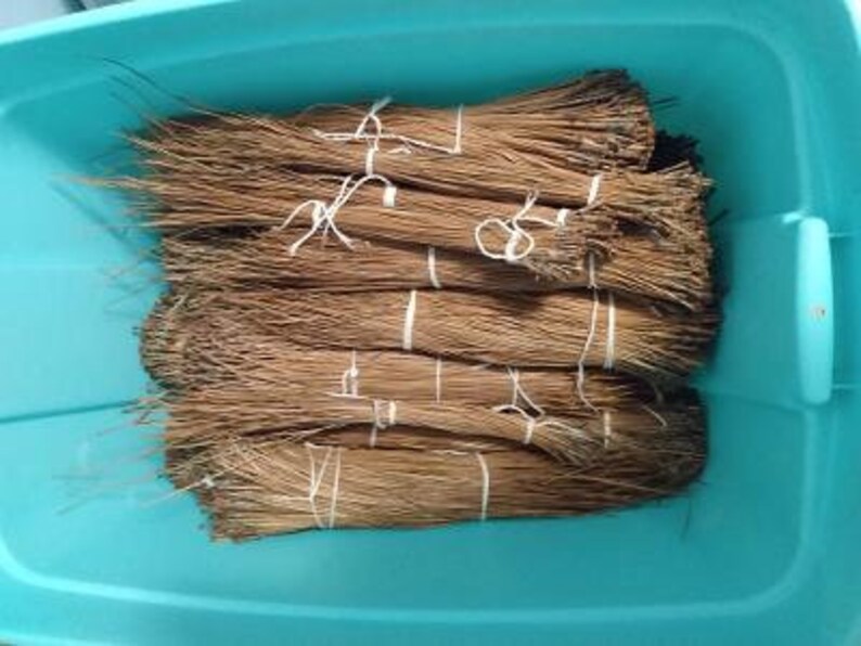 Op de afbeelding: Diverse bundels gedroogde dennennaalden, vastgebonden met wit touw, liggen in een turquoise plastic bak. De naalden hebben een warme bruine kleur. De bundels zijn waarschijnlijk bedoeld voor knutsel- of decoratieve doeleinden.