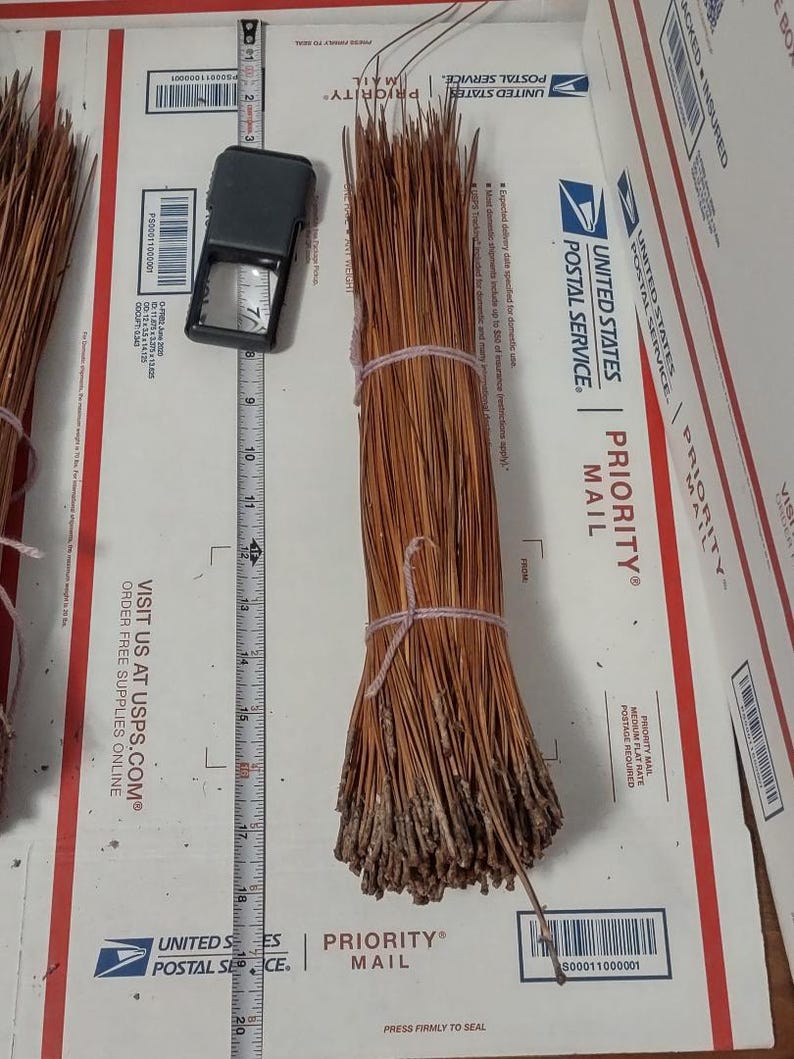 May include: A bundle of long, dried brown pine needles tied with a light-colored string. A metal measuring tape is positioned next to the bundle, showing a length of approximately 15 inches from the base to the tips of the needles.