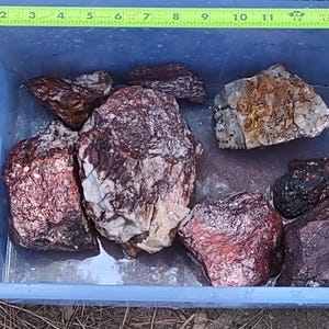 May include: A collection of rough, natural rocks in a blue plastic container. The rocks vary in size and color, with shades of red, brown, and gray. A yellow measuring tape is visible at the top of the container, showing a length of approximately 11 inches.