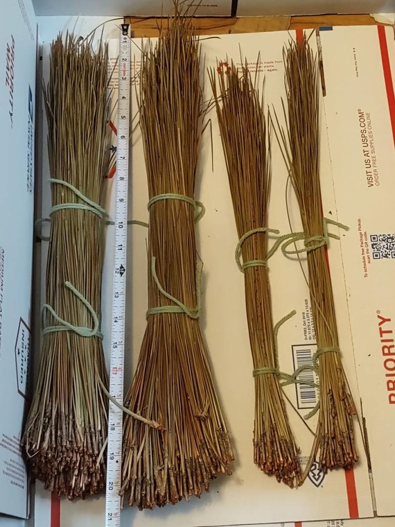 Long leaf pine needles 11" to 19 inches long, One Pound Two Ounces plus Extra Has 1,320 Or More Pine Needles for basket weaving, coiling
