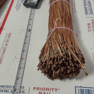 May include: A bundle of dried pine needles, tied with pink twine. A metal ruler is placed next to the bundle, showing measurements in inches. The bundle is on a white surface with USPS Priority Mail branding.