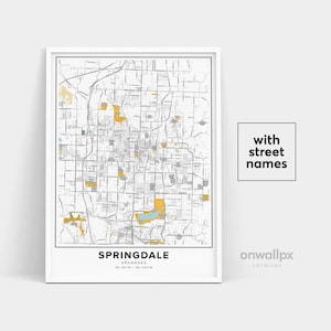 Impressão de mapa de Springdale, nomes de ruas Impressão de Springdale, mapa de Springdale, arte do mapa da cidade, arte do mapa de Springdale Arkansas, pôster de presente de viagem