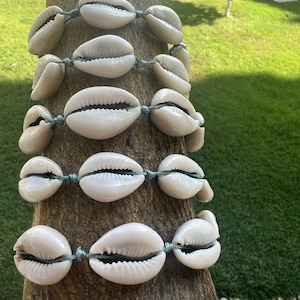 May include: A stack of white cowrie shell bracelets tied together with blue string on a tree trunk.