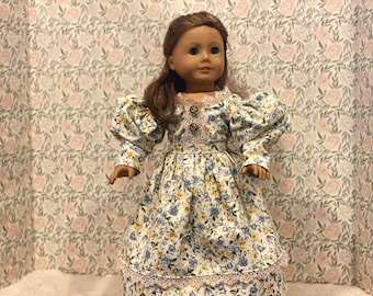 Historical 1800's Gown and Petticoat