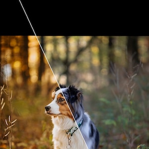 KODA Presets