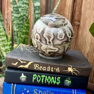 May include: A clear glass sphere containing a coiled snake with brown and cream patterned scales, resting on a stack of three books. The top book is brown with gold bats and a spider, the middle is black with green text reading POTIONS, and the bottom is blue with gold text reading Spells.