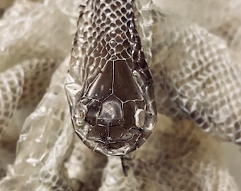 Bolsas de piel de serpiente para mudar