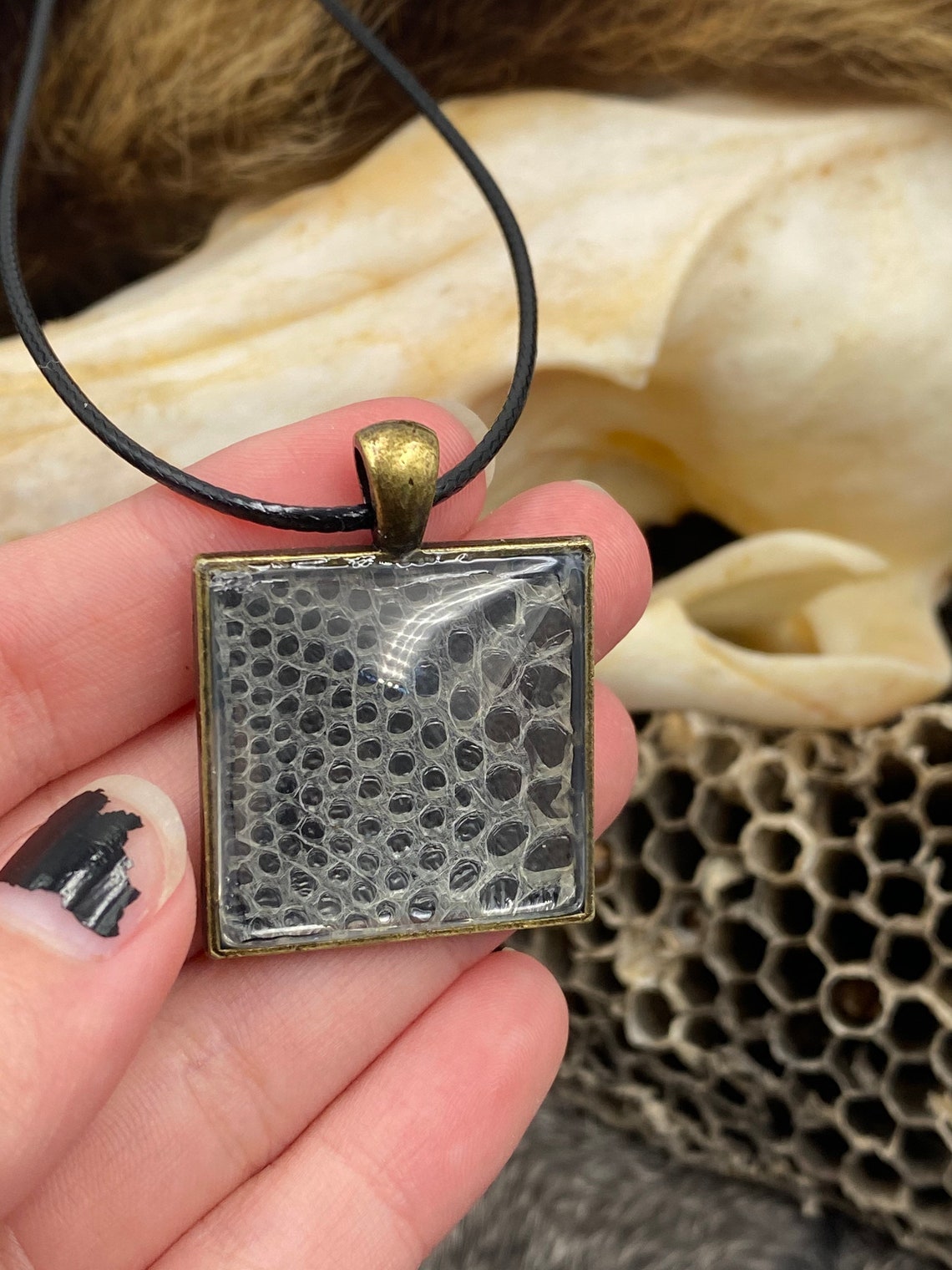 Snake shed necklace black background Etsy