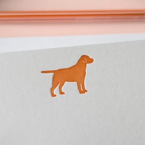 Labrador Letterpress Flat A6 Set di biglietti / bigliettini / biglietti di corrispondenza. Confezione da 6. Buste stampate opzionali