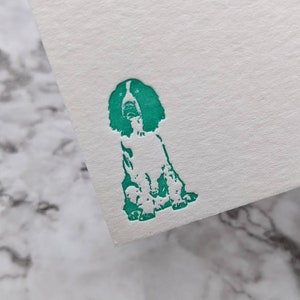 Springer Spaniel Dog Letterpress A6 Notecards / Notelets / Cartes de correspondance. Paquet de 6. Encre verte. Enveloppes imprimées en option image 4