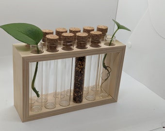 Spice Rack/Propagation Station with glass tubes and corks