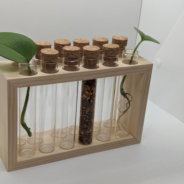 Spice Rack/Propagation Station with glass tubes and corks