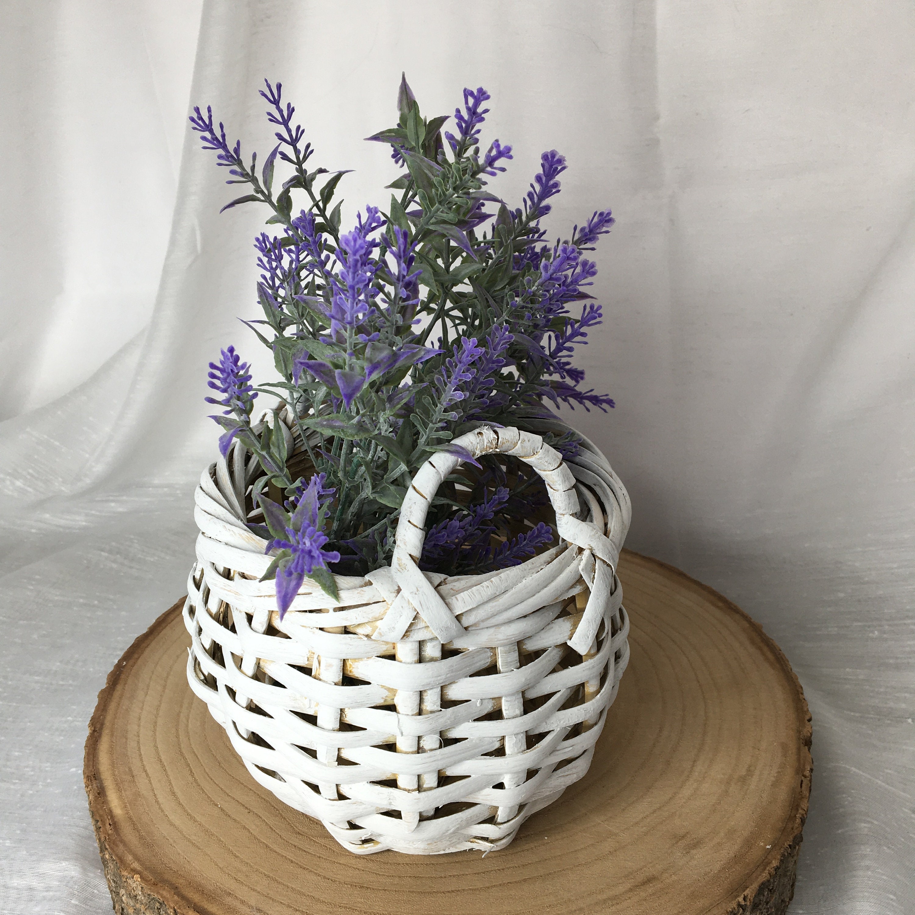 Small White Wicker Basket with Handles Small Plant Holder Etsy