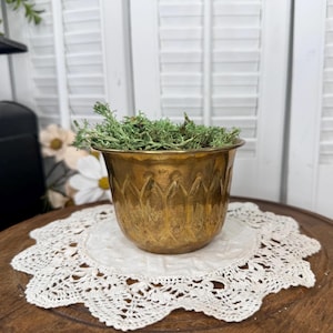 May include: A metallic brass planter with a rounded shape and a decorative embossed vertical petal pattern around the exterior. The planter is filled with a cluster of light green reindeer moss, showcasing a warm, aged patina finish on the metal surface.