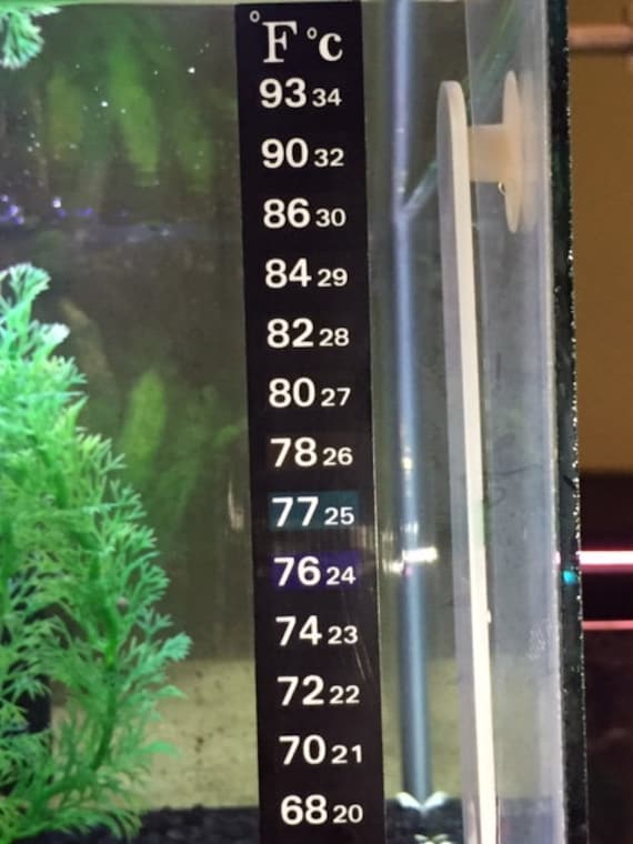 1 Aquarium Fish Tank Thermometer Temp Sticker Stick on FAHRENHEIT IN BOLD 