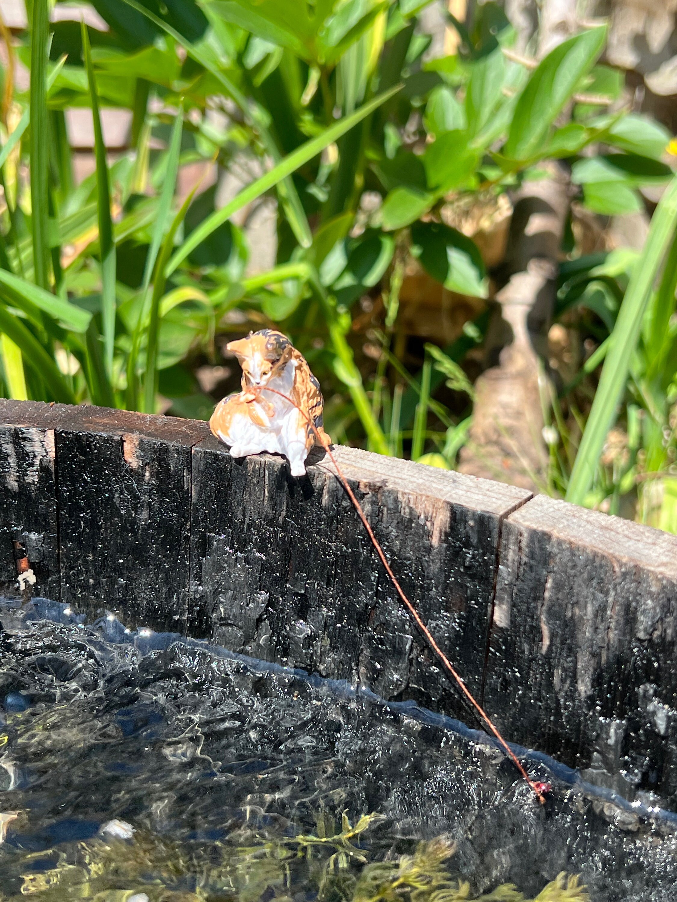 Japanese Fishing Cats Gashapon Toys set of 5 Option Bundle Etsy UK