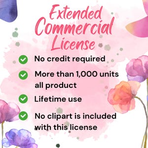 Extended Commercial License: Lastwizard Shop Designs (For 1000+ Products)