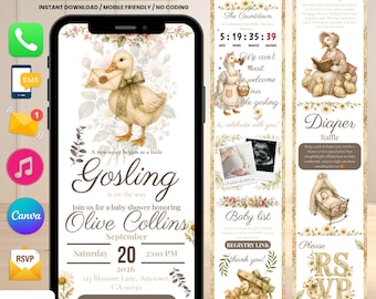 Paperless Baby Shower Invitation Template For Cottagecore & Rustic Party | Silly Goose Baby Shower Invite Digital Vintage Aesthetic Lovers