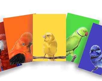 Rainbow Bird Postcards Set of 5 - A6 Blank - Animal Stationary