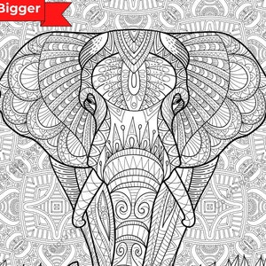 Giant Colouring Poster Jungle Safari 100 X 70cm 