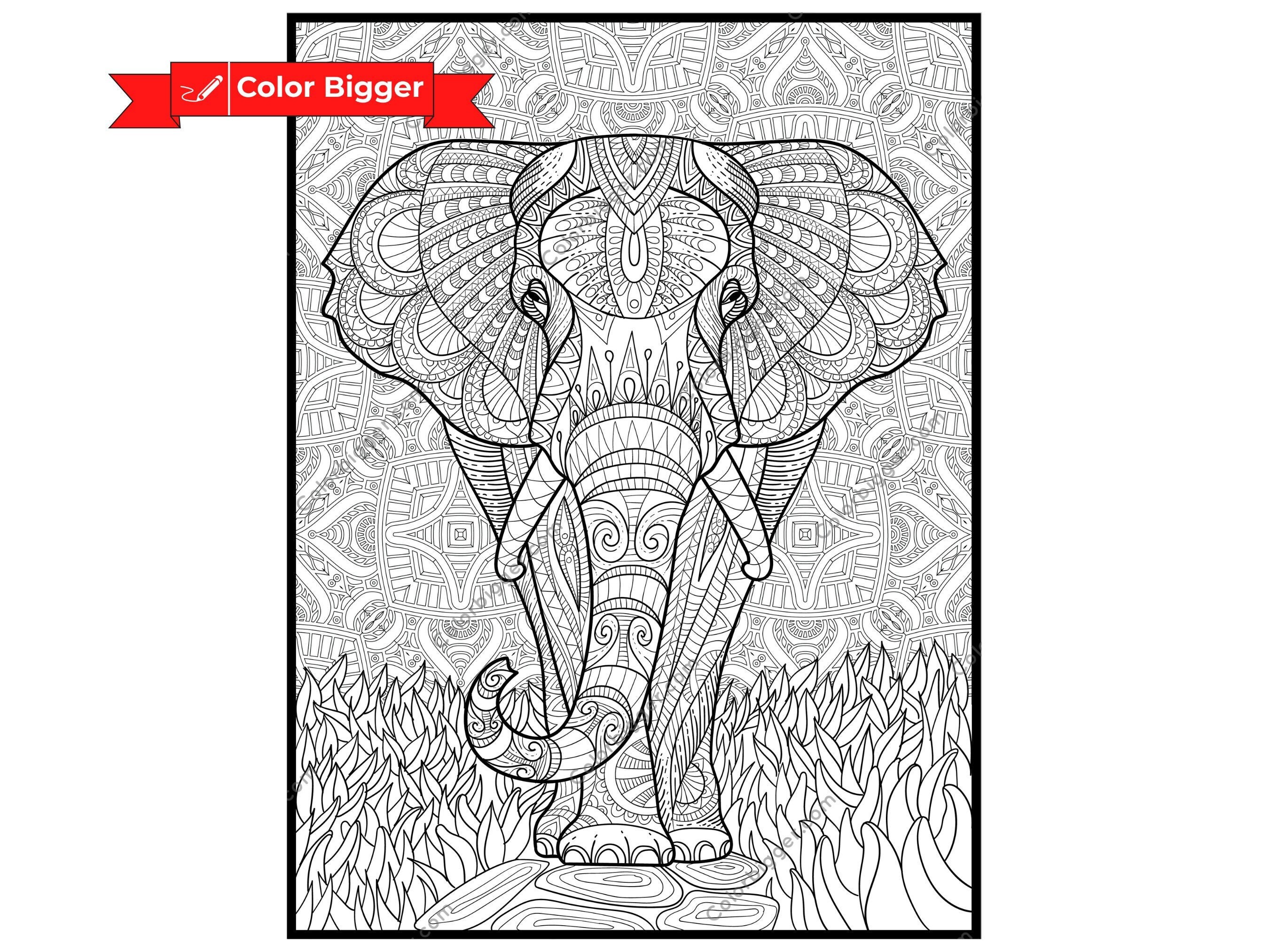 Giant Coloring Posters for Kids, Adults Mandala Elephant Poster Great for  Family Time, Senior Care Facilities, Schools, Group Activities 