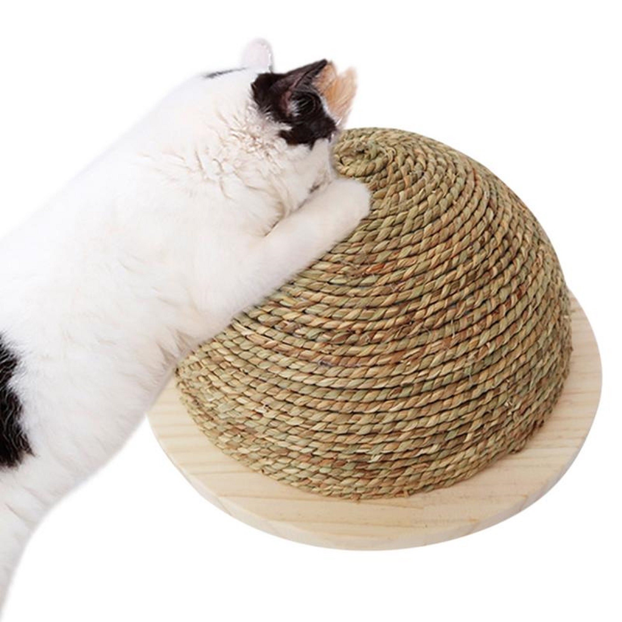 Half circular Cat Sisal Scratching BallCat Sisal Scratcher Etsy