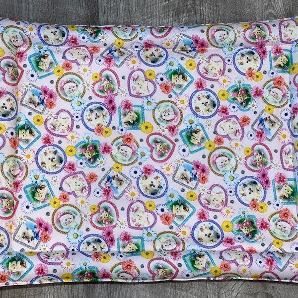 Ready to ship - Catnip & Silvervine Filled Cat Bed - pink frames