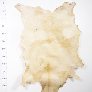 Goat Parchment Leather Rawhide Whole Skin Drum Leather p100-12