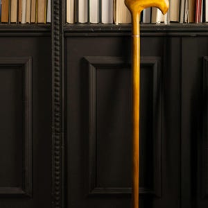 May include: A wooden walking cane with a curved handle, standing upright against a dark paneled wall and a bookshelf filled with books. The cane is a warm, golden color, and the handle is shaped for comfortable gripping. The background features a collection of books.