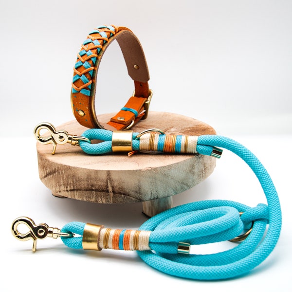 Hundehalsband | Hundeleine | Paracordleine | Lederhalsband | Tau Halsband | Kletterseil | Leine | Hundeset | Paracordleine Hund